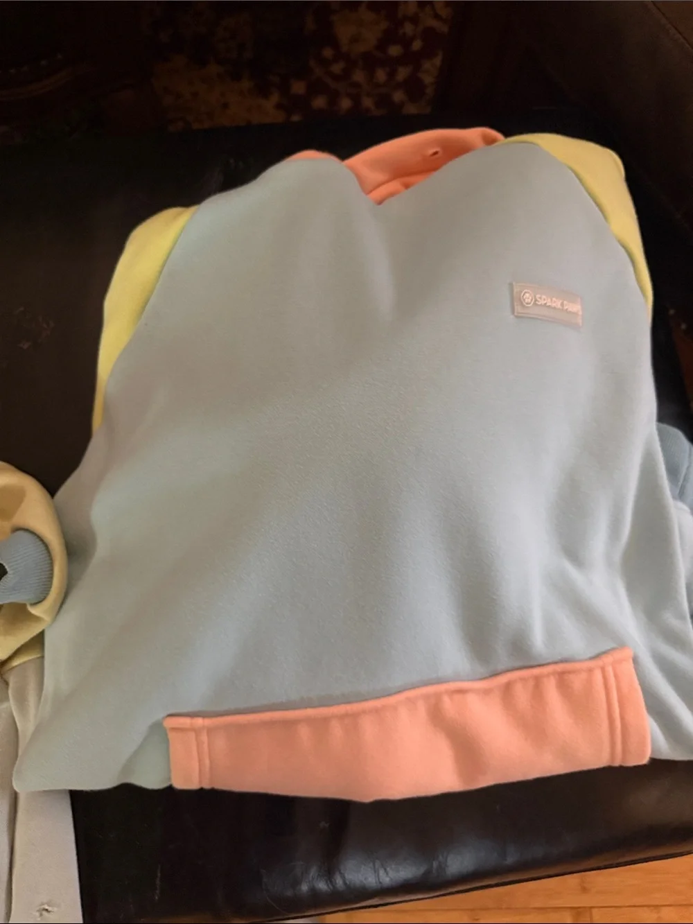 Spark paws Colorblock Pastel Hoodie - human hoodie dog hoodie